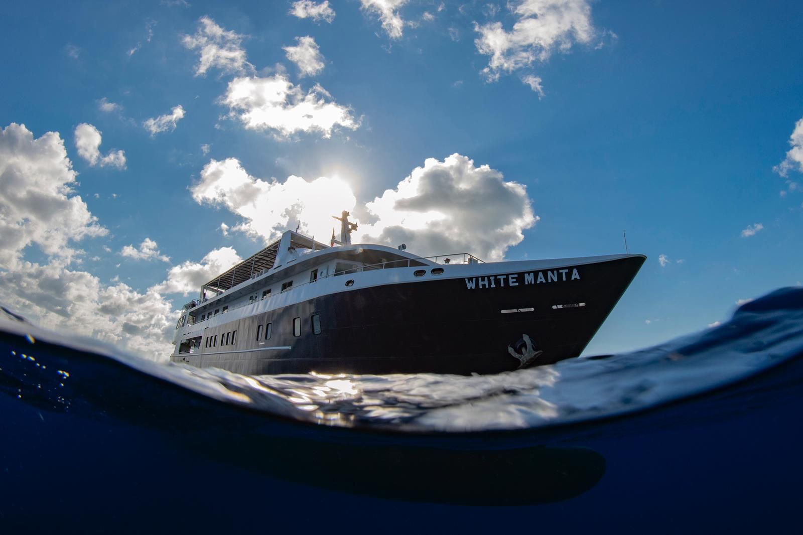 20% Off 11-Day Triton Bay to Misool Liveaboard | White Manta February ...